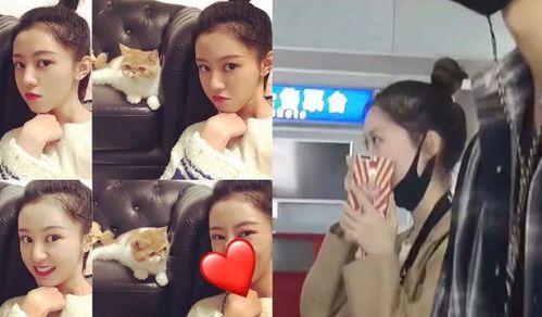 龚俊前女友爆料徐沐婵视频