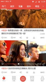 点姐视频爆料大全下载安装,下载安装攻略全解析
