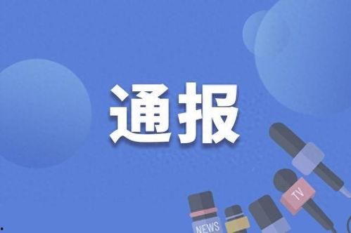 惠州爆料最新视频,揭秘城市背后不为人知的真相  第3张