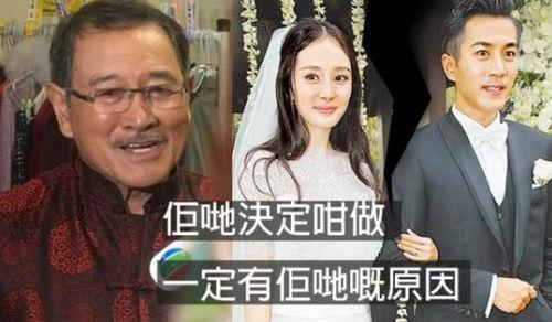 杨幂爆料爸爸离婚了视频,爸爸离婚背后的家庭故事