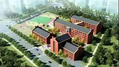 新建路学校最新爆料信息,最新爆料信息大起底 第2张 新建路学校最新爆料信息,最新爆料信息大起底 第2张