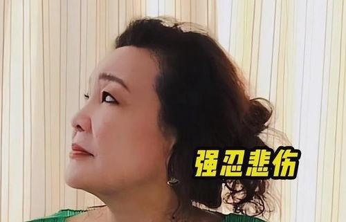 孟贺视频爆料,娱乐圈背后的惊人真相 第2张 孟贺视频爆料,娱乐圈背后的惊人真相 第2张