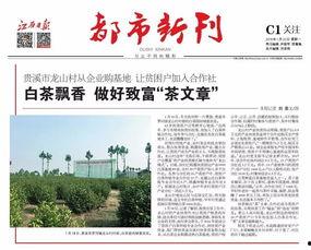江西最新爆料新闻报道大全,聚焦民生热点,解码社会现象 第2张 江西最新爆料新闻报道大全,聚焦民生热点,解码社会现象 第2张