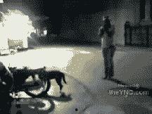 老刘爆料张大炮视频,老刘爆料视频背后的惊人真相 第2张 老刘爆料张大炮视频,老刘爆料视频背后的惊人真相 第2张