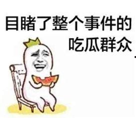 娱乐圈吃瓜呆头鹅是谁呀,揭秘神秘人物背后的故事  第3张