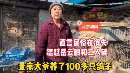 叶大爷北京最新视频爆料,北京最新动态，带你一探究竟！  第3张