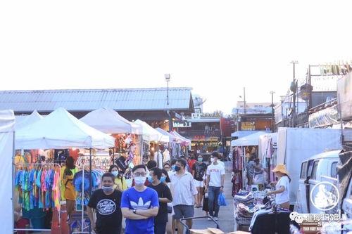石家庄最新疫情爆料夜市,石家庄最新疫情下的市井百态  第3张