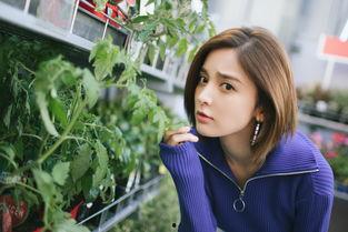 花房姑娘爆料视频播放下载,揭秘幕后故事 第2张 花房姑娘爆料视频播放下载,揭秘幕后故事 第2张