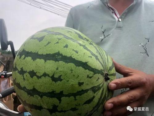 吃瓜胡一天网红,从吃瓜网红到人气明星的蜕变之路 第2张 吃瓜胡一天网红,从吃瓜网红到人气明星的蜕变之路 第2张