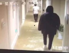 吃瓜胡一天网红,从吃瓜网红到人气明星的蜕变之路 第3张 吃瓜胡一天网红,从吃瓜网红到人气明星的蜕变之路 第3张