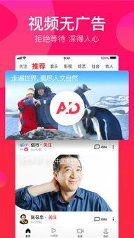 中肯吃瓜完整视频下载免费,免费下载完整视频,揭秘热门话题背后的真相 第3张 中肯吃瓜完整视频下载免费,免费下载完整视频,揭秘热门话题背后的真相 第3张