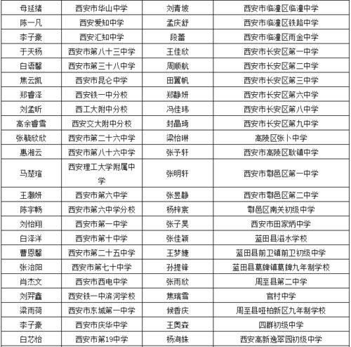 爆料人陕西老乔视频全集,一场震撼人心的爆料之旅 第2张 爆料人陕西老乔视频全集,一场震撼人心的爆料之旅 第2张
