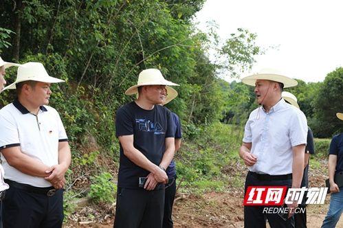 黄兴镇最新爆料新闻,揭秘事件背后惊人真相 第2张 黄兴镇最新爆料新闻,揭秘事件背后惊人真相 第2张