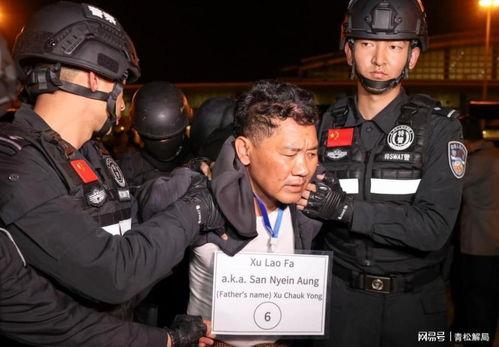 商人爆料缅北案件视频大全,商人爆料视频大全深度解析