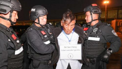 商人爆料缅北案件视频大全,商人爆料视频大全深度解析 第3张 商人爆料缅北案件视频大全,商人爆料视频大全深度解析 第3张