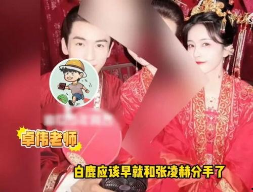 常州白鹿爆料事件视频,揭秘背后真相 第3张 常州白鹿爆料事件视频,揭秘背后真相 第3张