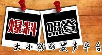 什么是新爆料新闻媒体,新闻媒体如何引领信息革命