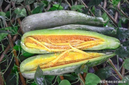 威海网红吃瓜,揭秘幕后故事与热门话题  第3张