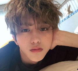 蔡徐坤豆瓣爆料视频大全,蔡徐坤爆料视频大全，揭秘偶像背后的故事