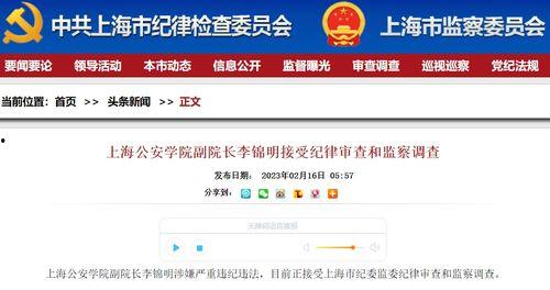 上海新闻官网爆料,揭秘城市最新动态 第2张 上海新闻官网爆料,揭秘城市最新动态 第2张