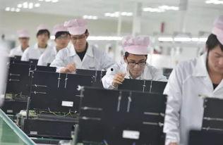 合肥创业爆料事件视频,揭露背后真相，创业之路的曲折与挑战  第2张