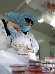 细菌实验室爆料视频播放,细菌研究视频曝光，带你走进微观世界  第2张