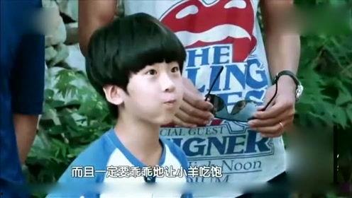 娱乐八卦爆料的人是谁,揭秘幕后推手身份 第3张 娱乐八卦爆料的人是谁,揭秘幕后推手身份 第3张