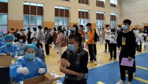 和平基因爆料最新消息,揭秘全球和平发展新动向  第2张