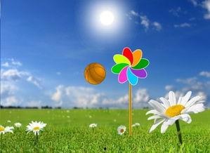 风车在线观看,探寻自然与科技的和谐共鸣 第3张 风车在线观看,探寻自然与科技的和谐共鸣 第3张