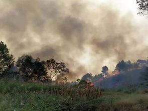 网友爆料莲花山的视频播放,网友惊叹如画仙境