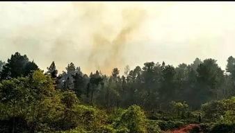 网友爆料莲花山的视频播放,网友惊叹如画仙境 第2张 网友爆料莲花山的视频播放,网友惊叹如画仙境 第2张