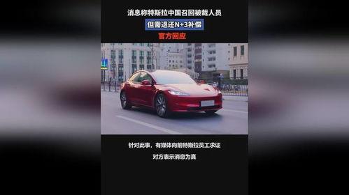 特斯拉中国爆料最新消息,神秘新车型即将亮相，性能参数引发热议  第2张