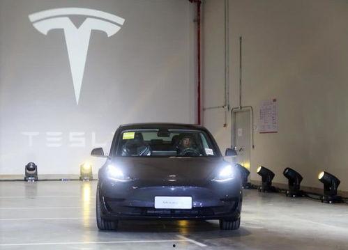 特斯拉中国爆料最新消息,神秘新车型即将亮相，性能参数引发热议  第3张