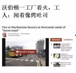 今日外网爆料新闻视频,最新视频揭露惊人真相，引发全球关注！  第2张