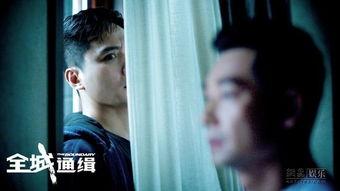 电影全城通缉在线观看,紧张刺激的追捕大戏，揭秘犯罪背后的真相