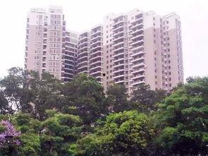 深圳石岩爆料事件最新,真相与争议交织的社区风云