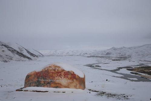 严寒17天在线观看,在线见证生死较量 第2张 严寒17天在线观看,在线见证生死较量 第2张