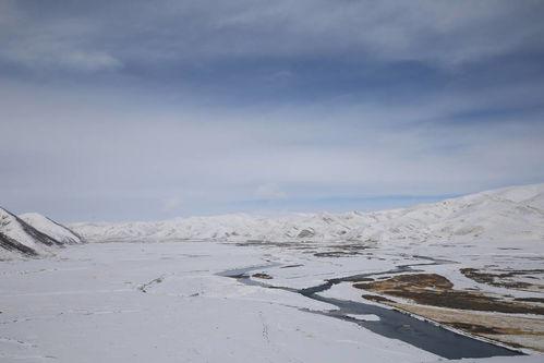 严寒17天在线观看,在线见证生死较量 第3张 严寒17天在线观看,在线见证生死较量 第3张