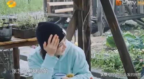 爆料李晟杨紫视频大全最新,甜蜜瞬间引网友热议 第3张 爆料李晟杨紫视频大全最新,甜蜜瞬间引网友热议 第3张