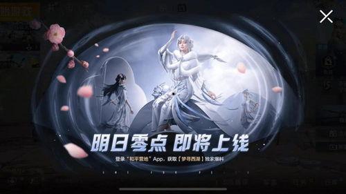 皮肤吃鸡爆料视频大全,视觉盛宴，带你领略游戏魅力