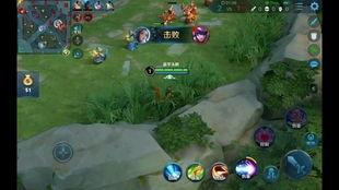 王者小菜鸡爆料视频,揭秘游戏幕后精彩瞬间