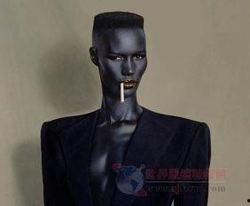 梦想家法国版在线观看,在线观看,探索异国梦想之旅 第3张 梦想家法国版在线观看,在线观看,探索异国梦想之旅 第3张