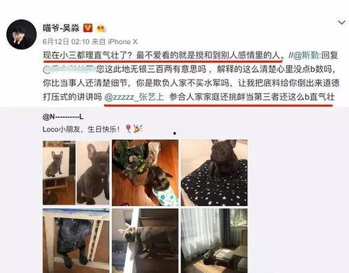 家暴有人真实爆料吗视频,真实爆料揭露黑暗面  第2张