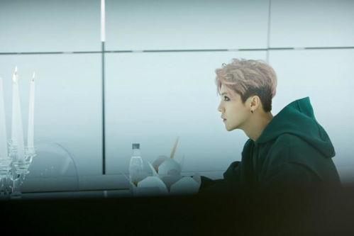 鹿晗新歌爆料是真的吗视频