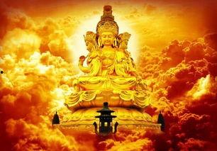 佛系明珠爆料神虎视频,神虎视频背后的神秘力量