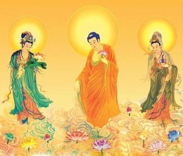 佛系明珠爆料神虎视频,神虎视频背后的神秘力量  第2张