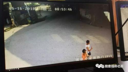 进贤谣言学生爆料事件视频,真相与误解的交织