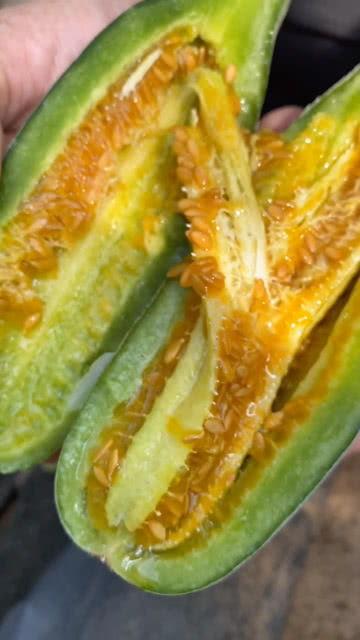 免费吃瓜黄料视频,带你领略网络娱乐新潮流 第2张 免费吃瓜黄料视频,带你领略网络娱乐新潮流 第2张