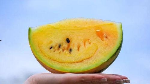 免费吃瓜黄料视频,带你领略网络娱乐新潮流 第3张 免费吃瓜黄料视频,带你领略网络娱乐新潮流 第3张