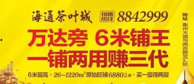 海通国际最新爆料消息新闻,揭秘行业重大新闻动态  第3张